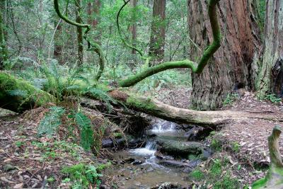 tiny waterfall