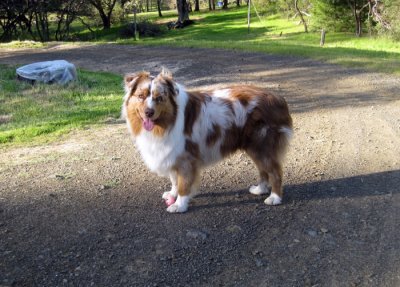 Skye Lea at Camp Futscher