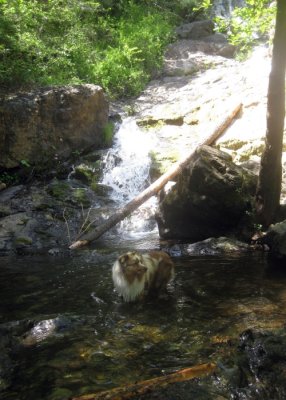 Skye Lea in the Pool Beneath Codfish Falls