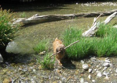 Chuckie at Indian Creek