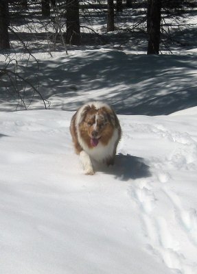 Skye Lea in the Snow