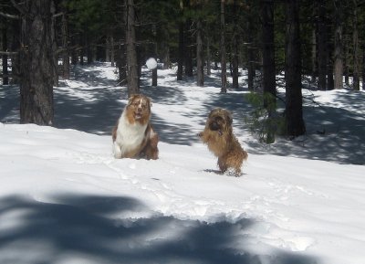 Skye Lea and Chuckie Playing Snow Ball Catch