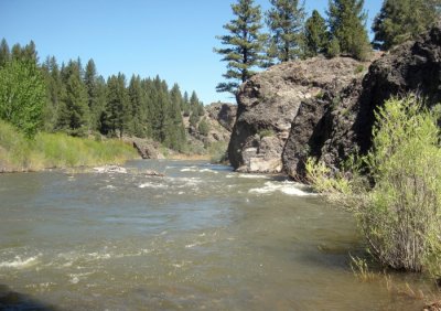 The East Fork of the Carson River