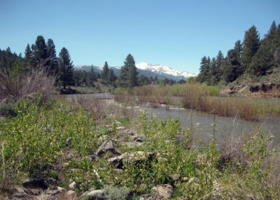 Snowcapped Sierra Peaks Are Just Above Your Paddle