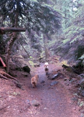 Chuckie and Skye Lea on an Oregon Trail