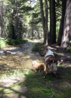 The Lovely Little Creek Again, with Chuckie and Skye Lea