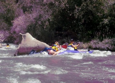 Carnage at Mothers Rapid on Cache Creek