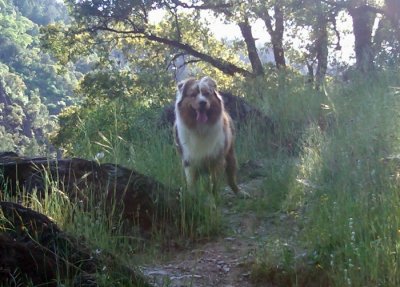 Skye Lea on a Trail