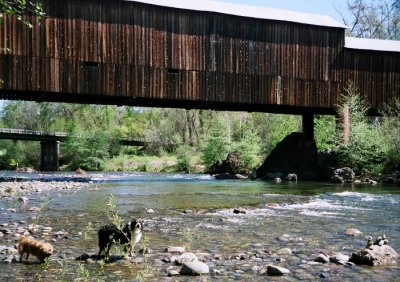 The Butte Creek Take Out