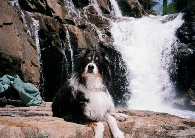 Scout in Front of the Place We Call Loveliness Falls