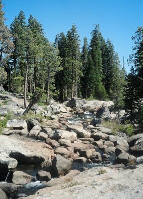 The Stanislaus River Near Its Source