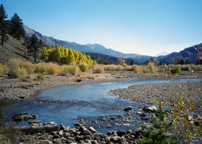The West Walker River Late in the Year