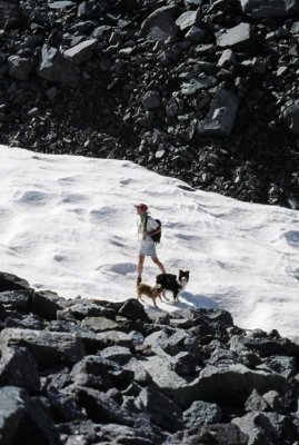 Larry, Scout, and Chuckie Amid Rocks and Snow