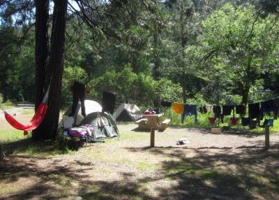 Morning at Sims Flat Campground