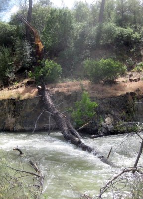 An Obstruction on the Cache Creek Wilderness Run