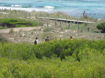 Shortcut to the Beach