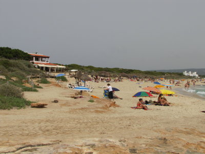 At Real Playa June 2012