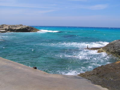 Waves at the Harbour