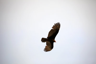Feb182011_3401.jpg