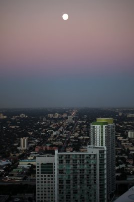 Feb192011_3437.jpg