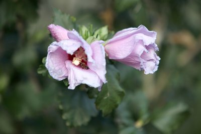July102011_8407.jpg
