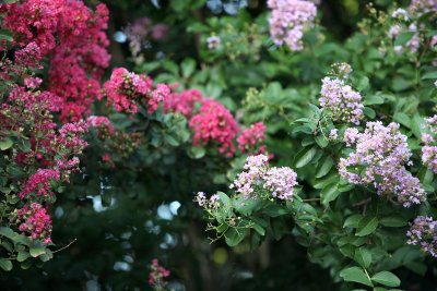 July102011_8413.jpg