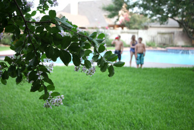 July52011_8131.jpg