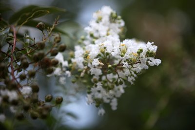 July92011_8285.jpg