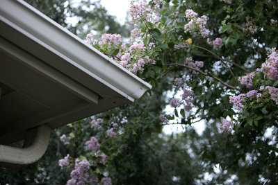 July92011_8318.jpg