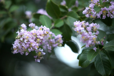 Mid-summer 2011