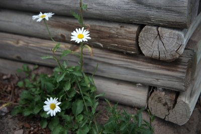 Aug72011_9558.jpg
