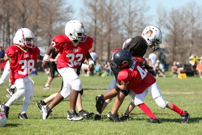 Lions v Bengals