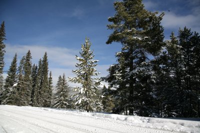 Dec242007_8191.jpg