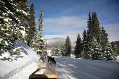 Dec242007_8195.jpg