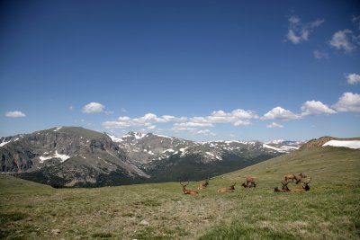 July42007_1516.jpg