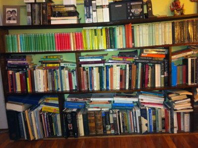 books bedroom.JPG