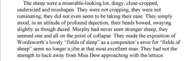Murphy Fields of Sheep.tiff