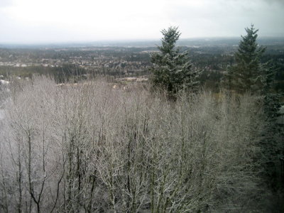 g4/65/424765/3/134336231.8dmO4P5I.jpg