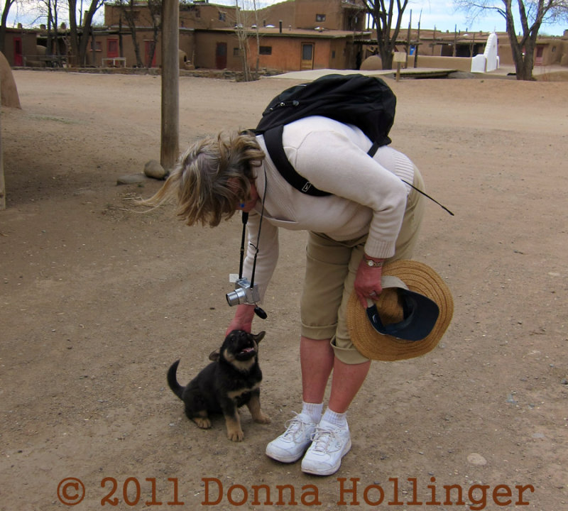 Sally petting the perky puppy