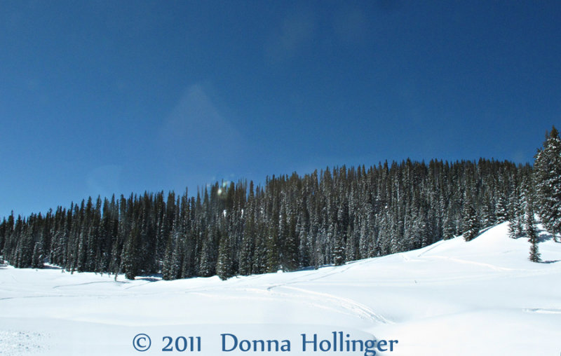 April Snow at Wolfrun