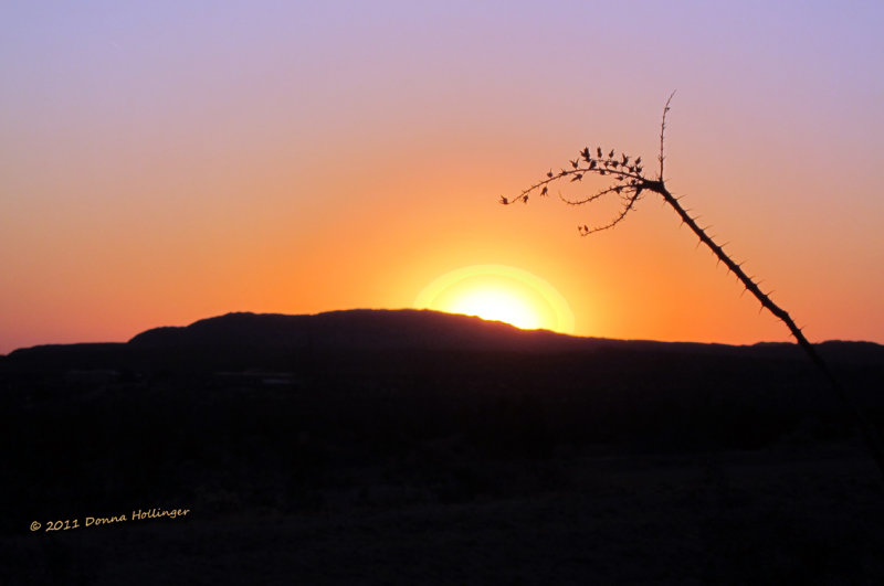 Desert Sunrise