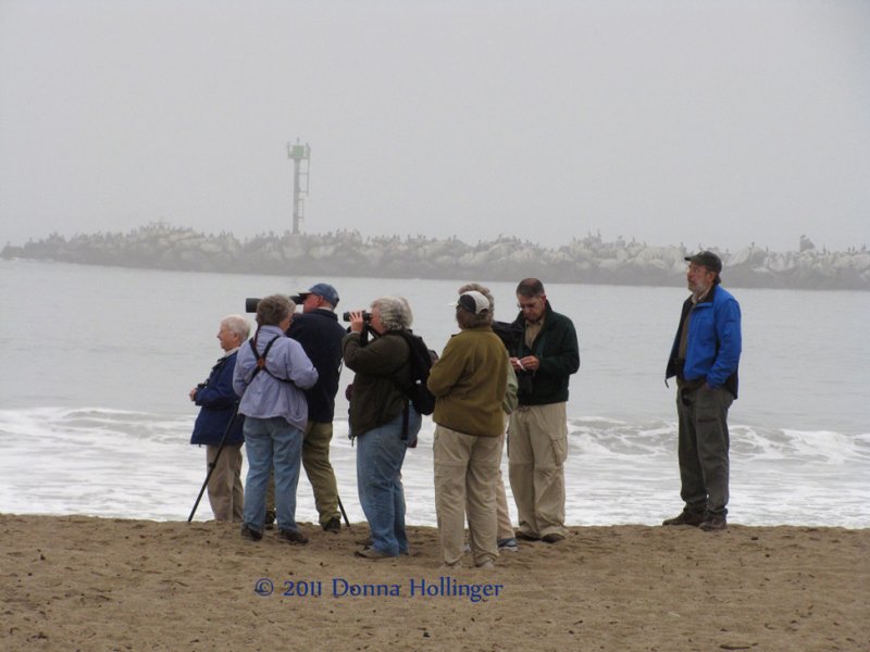 Birding While Waiting for the Island Packer