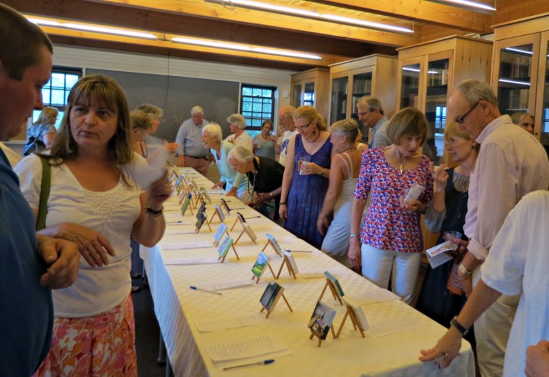 Silent Auction of Minis for Morrill
