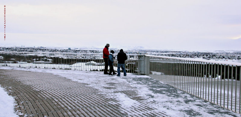 Perlan, Peter and the boys taking in the view