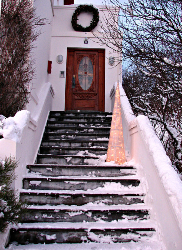 Christmas Tree on the Doorstep