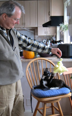 Peter Playing With Rocky