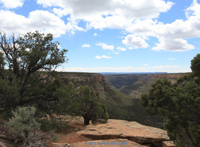 Massive Mesa Verde!