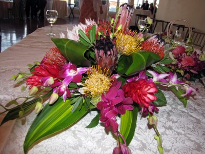 Audrey's [Hawaiian] Flowers