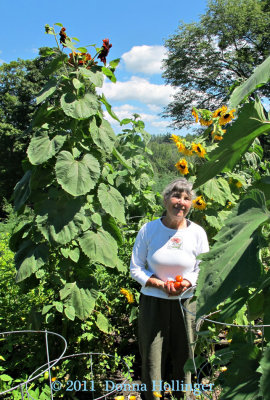 Anni in her 2011 Garden