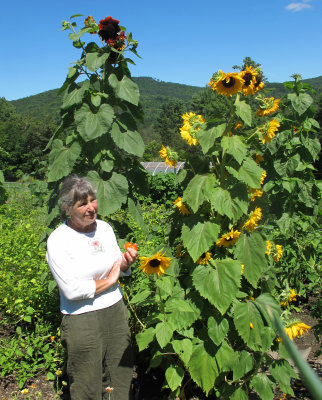 Anni in her 2011 Garden